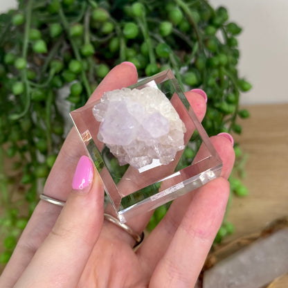 Spirit Quartz Cluster (X243)