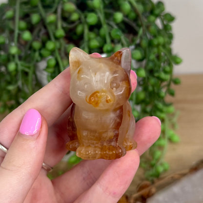 Golden Healer Cat (X194)