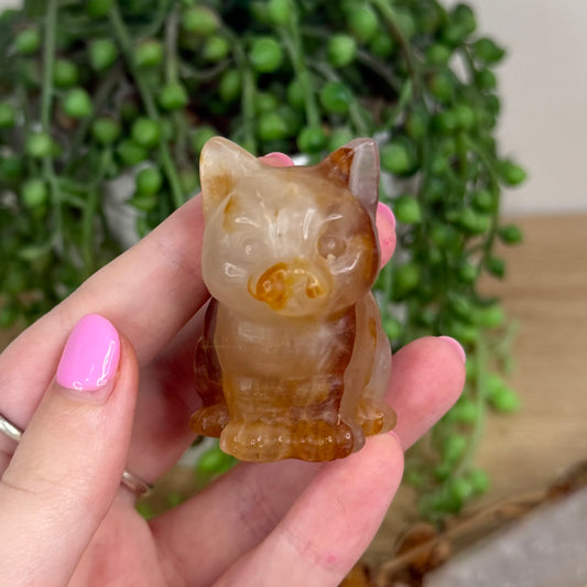 Golden Healer Cat (X194)