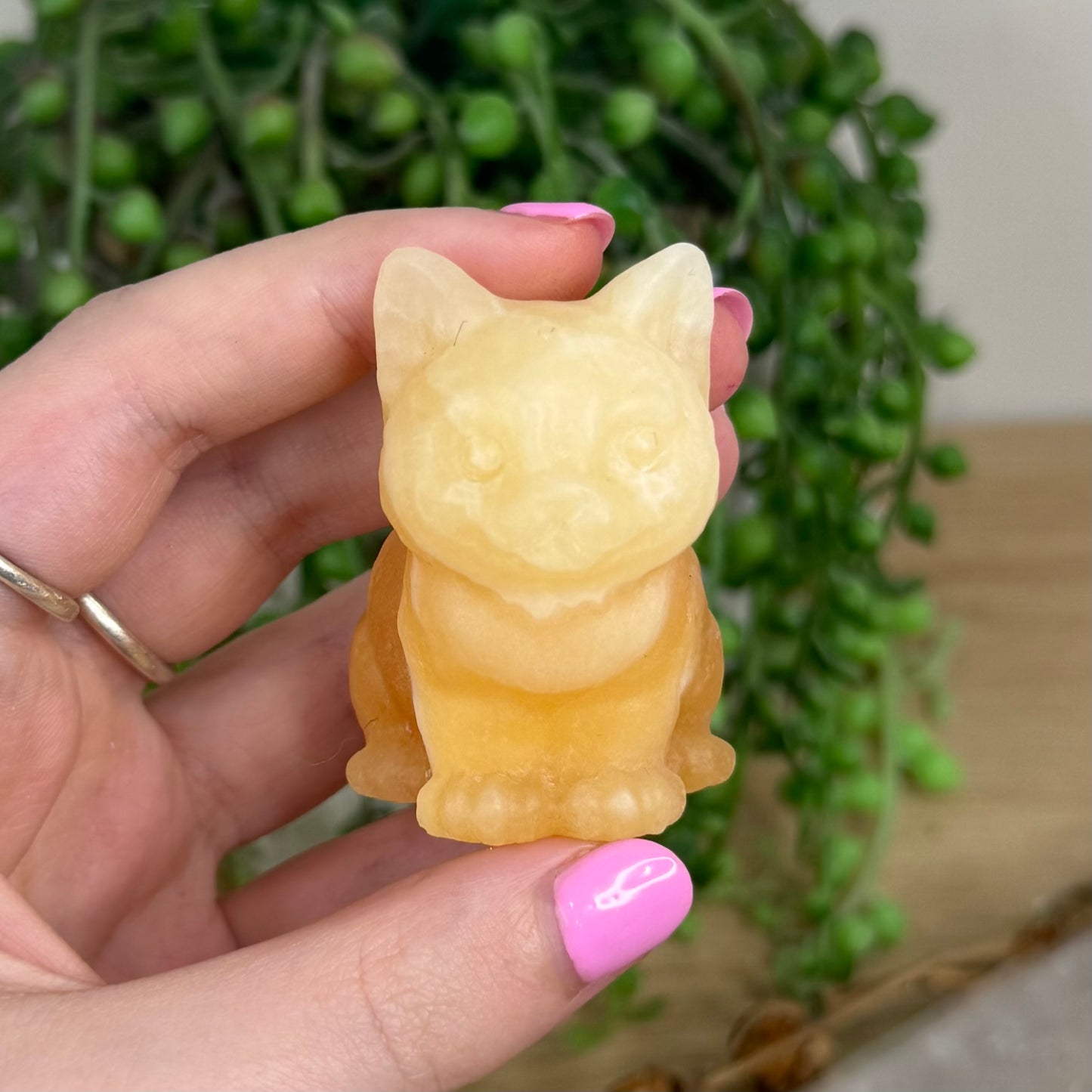 Yellow Calcite Cat (X195)