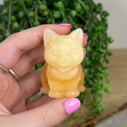 Yellow Calcite Cat (X195)