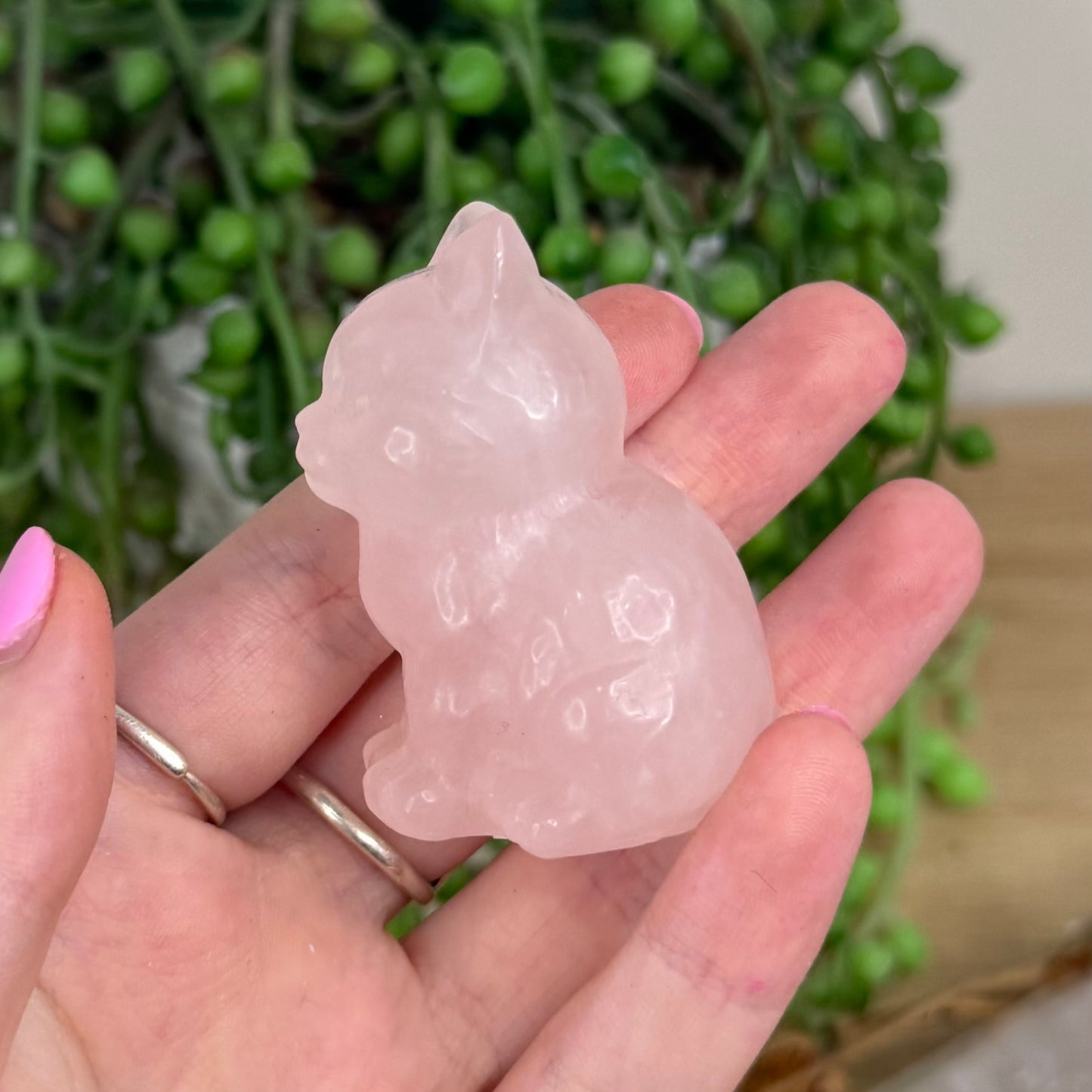 Rose Quartz Cat (X197)