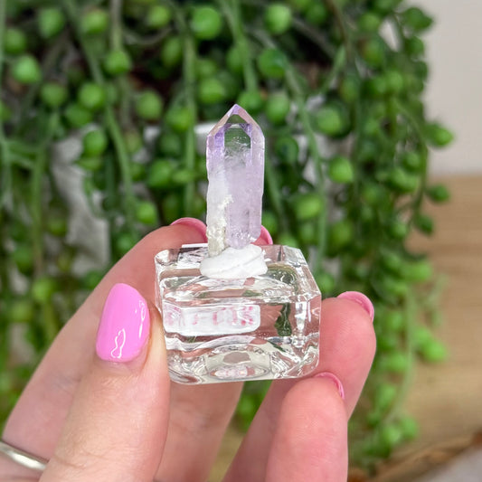 Vera Cruz Amethyst Specimen (X254)