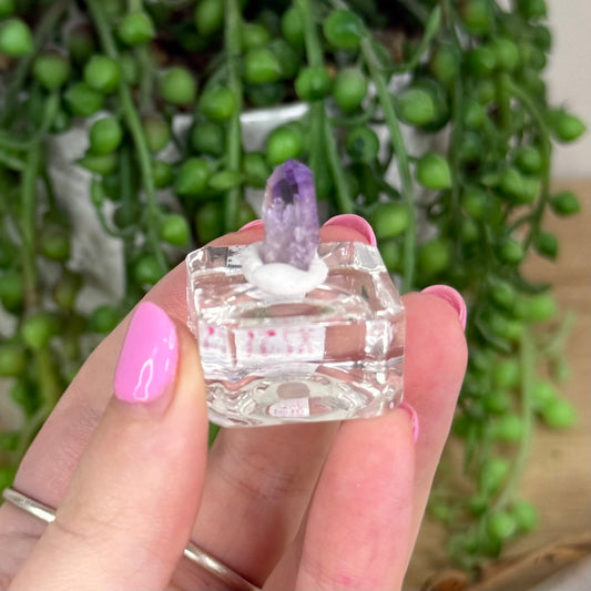 Vera Cruz Amethyst Specimen (X251)