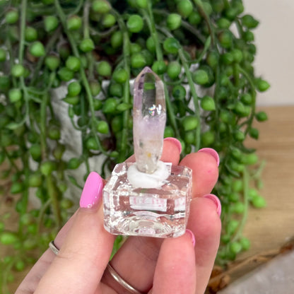Vera Cruz Amethyst Specimen (X257)