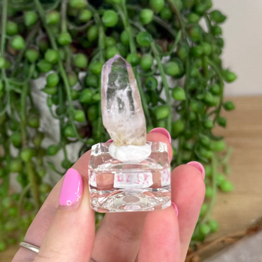 Vera Cruz Amethyst Specimen (X258)