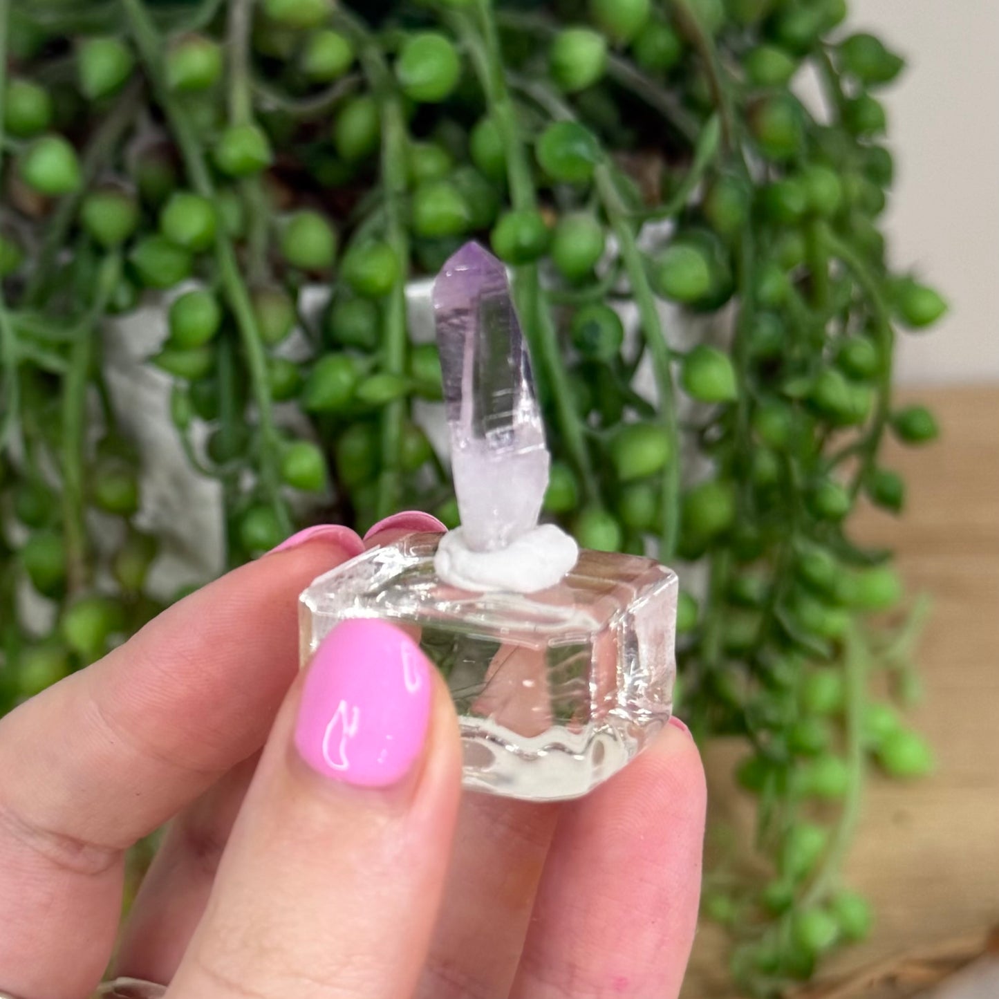 Vera Cruz Amethyst Specimen (X253)