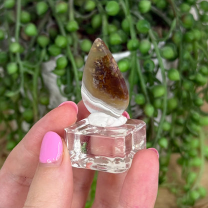 Scenic Moss Agate Cabochon 1