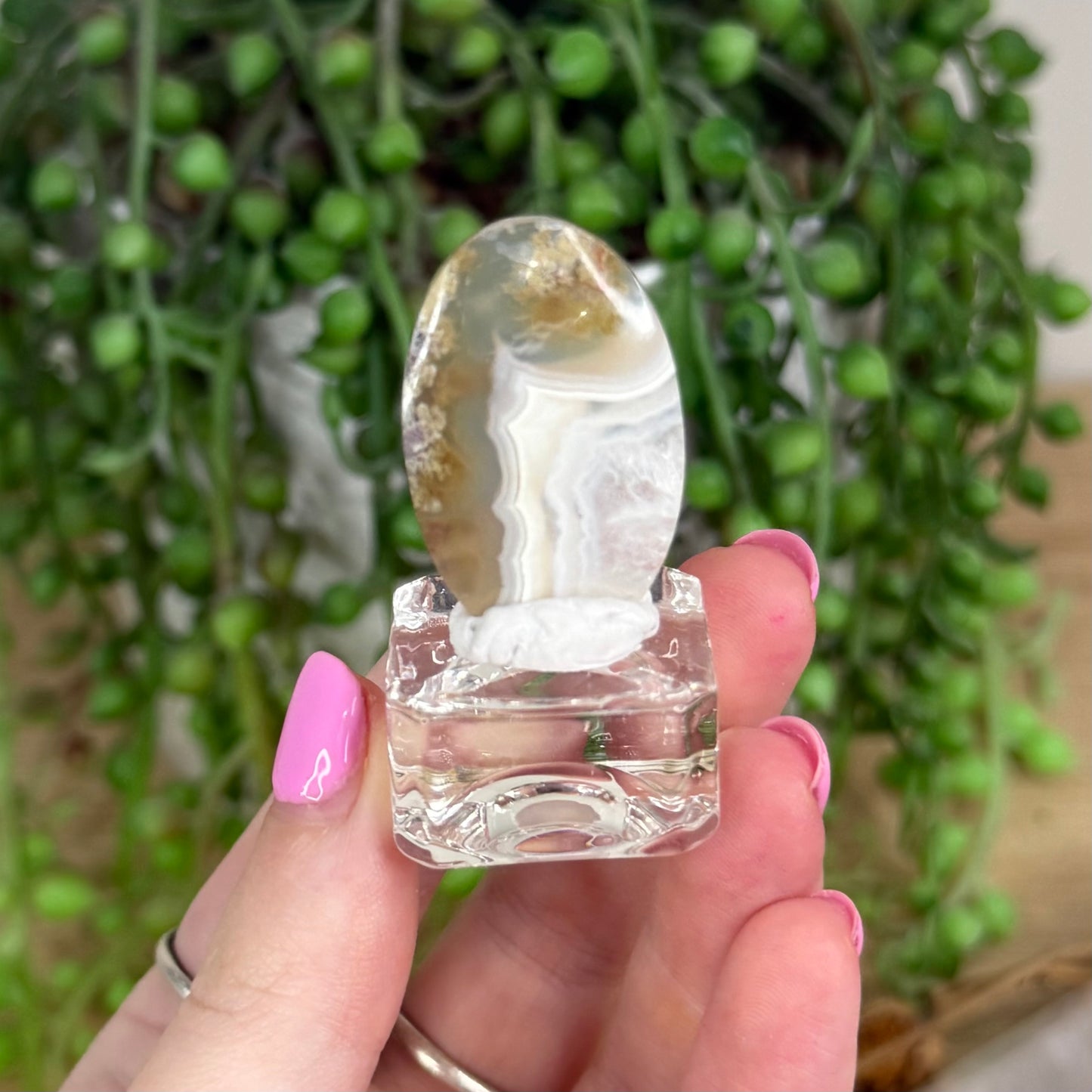 Scenic Moss Agate Cabochon 3