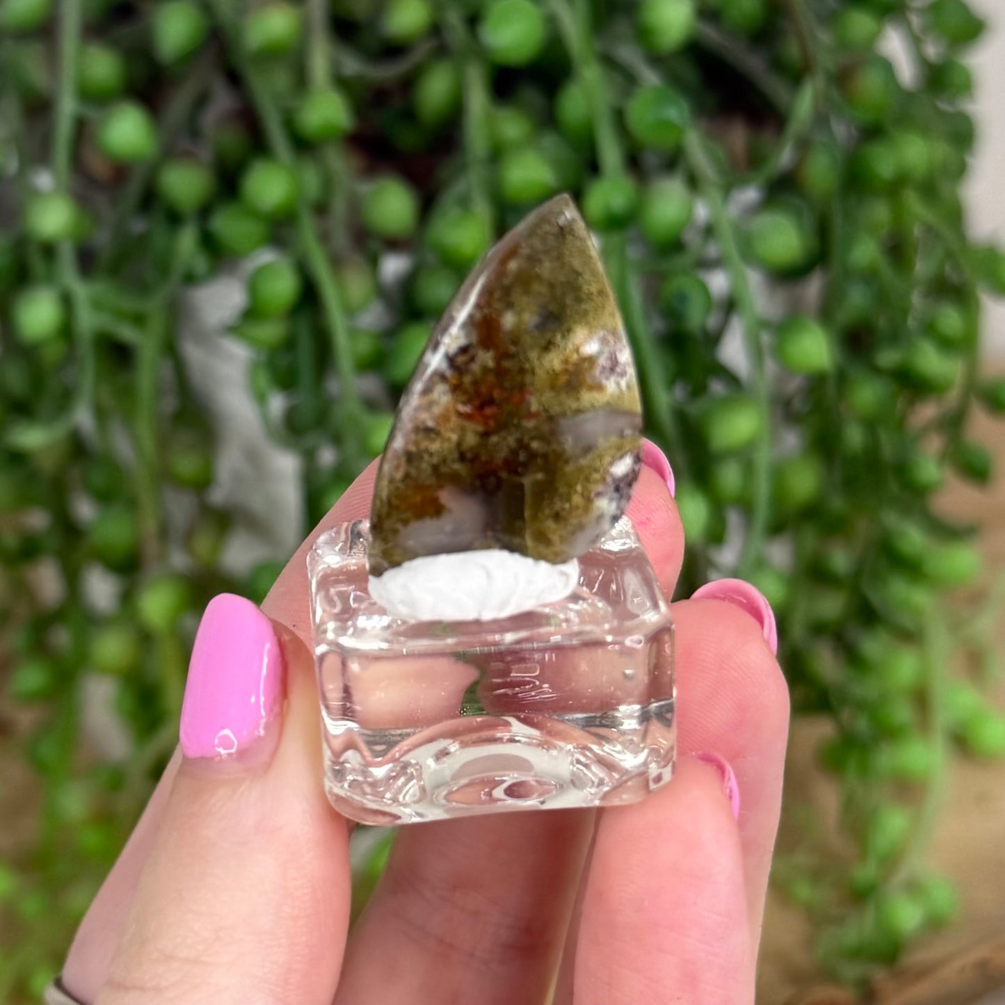 Scenic Moss Agate Cabochon 5