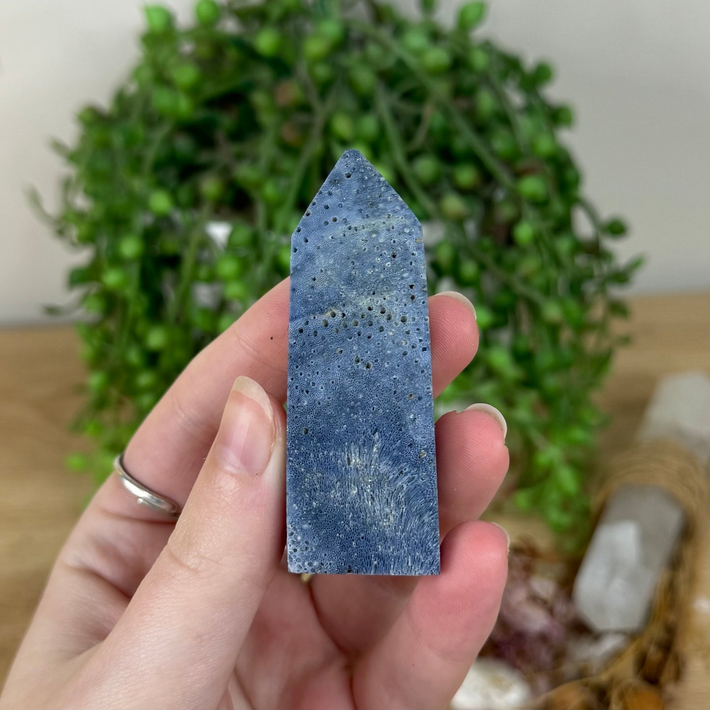 Blue Coral Point (R209)