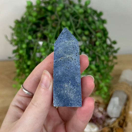 Blue Coral Point (R209)