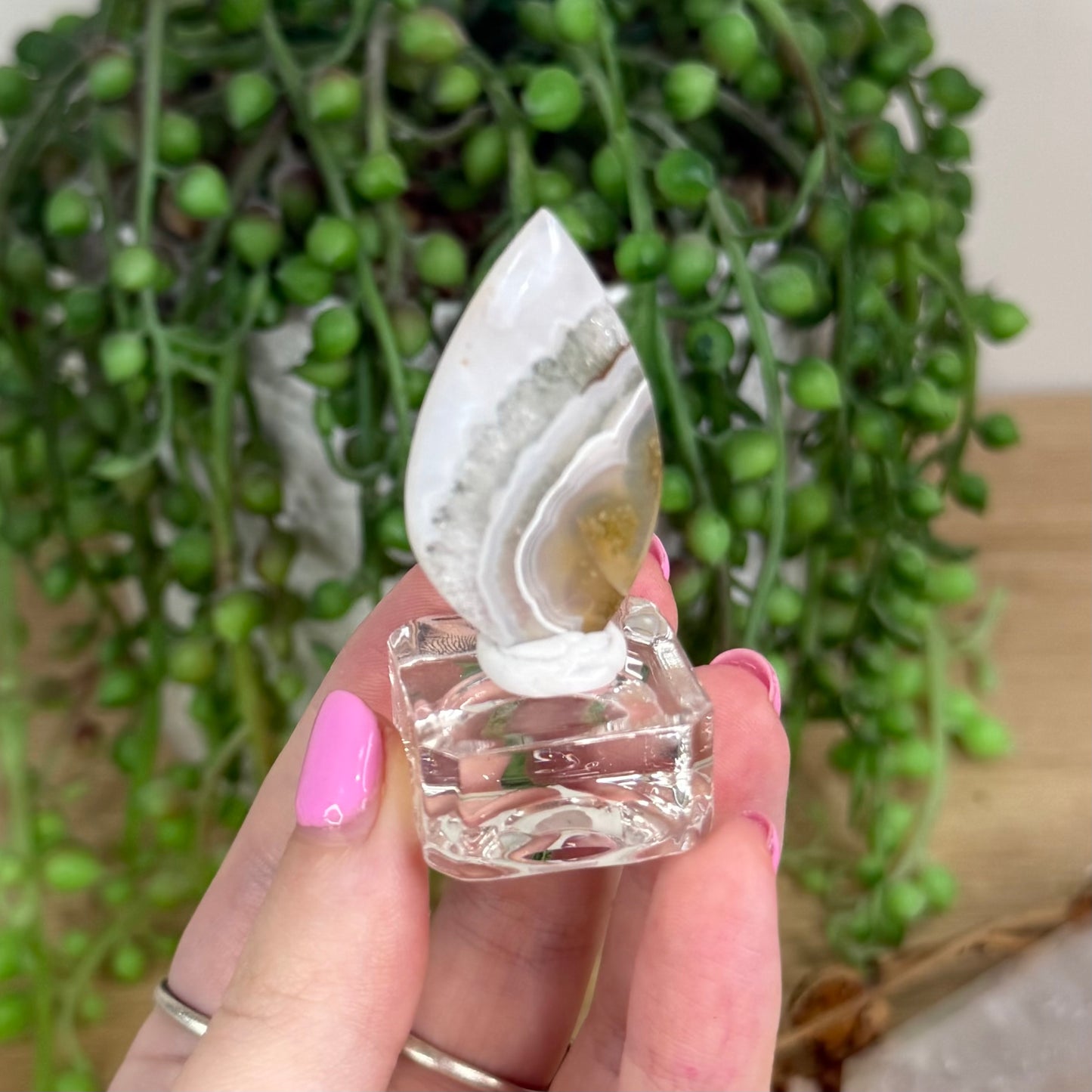 Scenic Moss Agate Cabochon 6