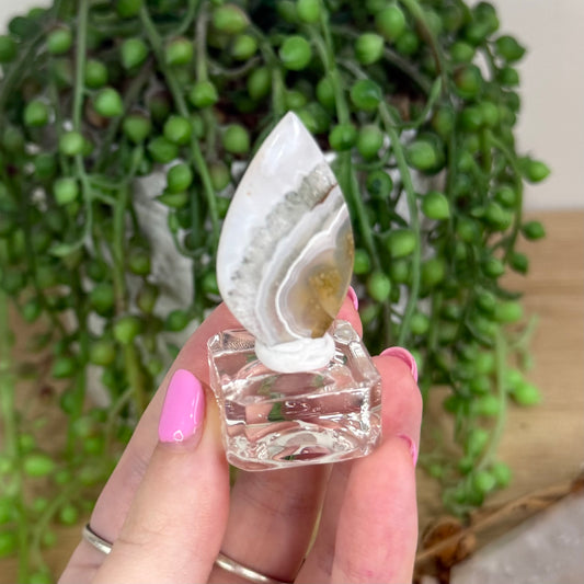 Scenic Moss Agate Cabochon 6