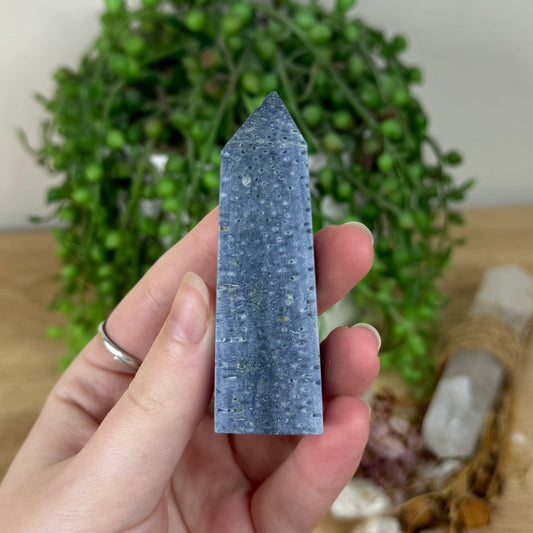 Blue Coral Point (R213)