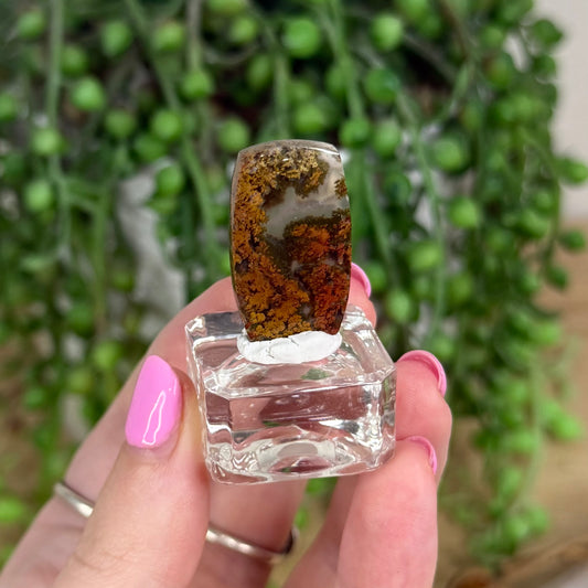 Scenic Moss Agate Cabochon 7