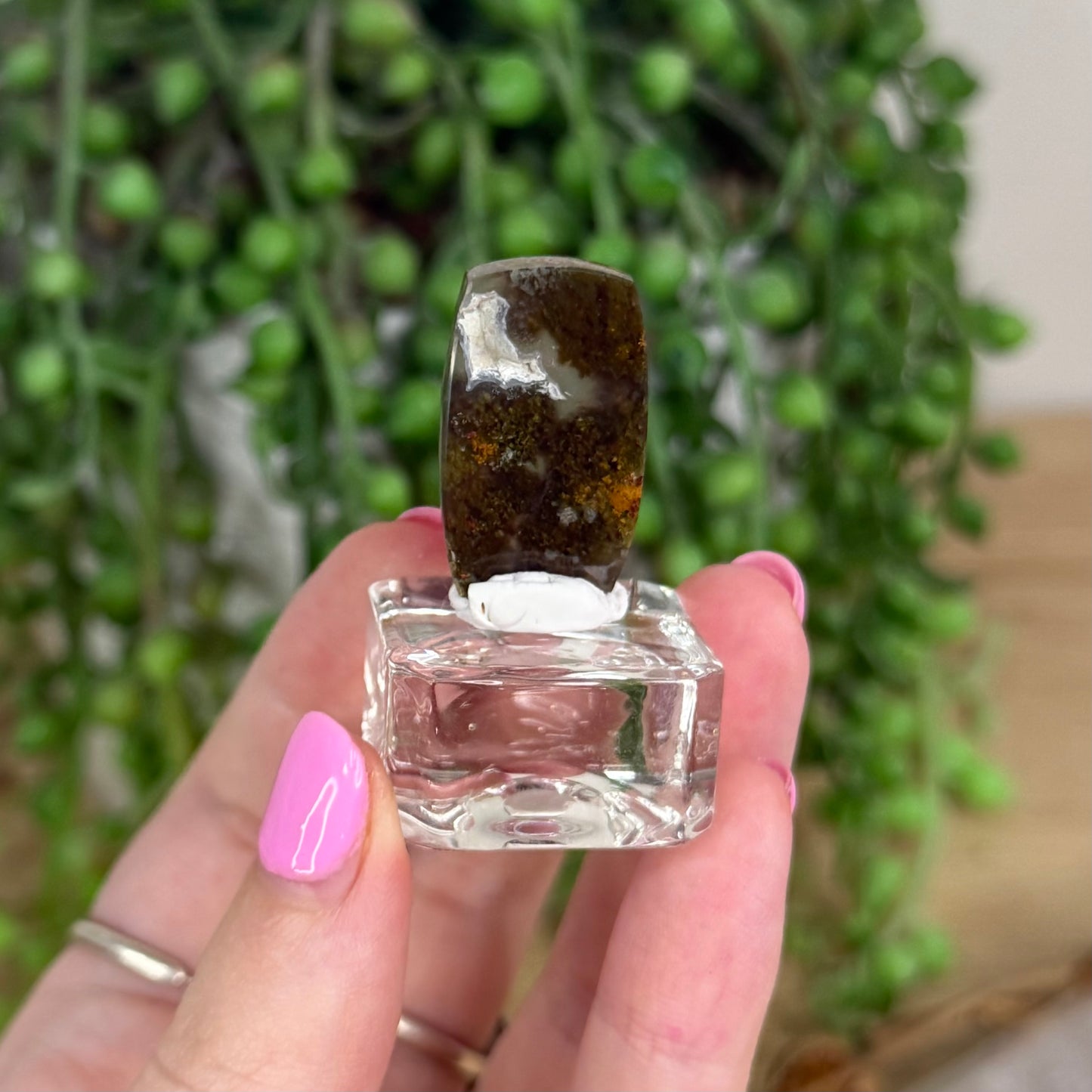 Scenic Moss Agate Cabochon 7