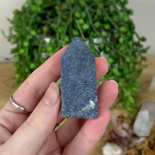 Blue Coral Point (R211)