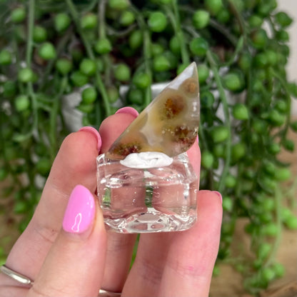Scenic Moss Agate Cabochon 8
