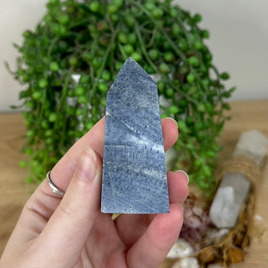 Blue Coral Point (R215)