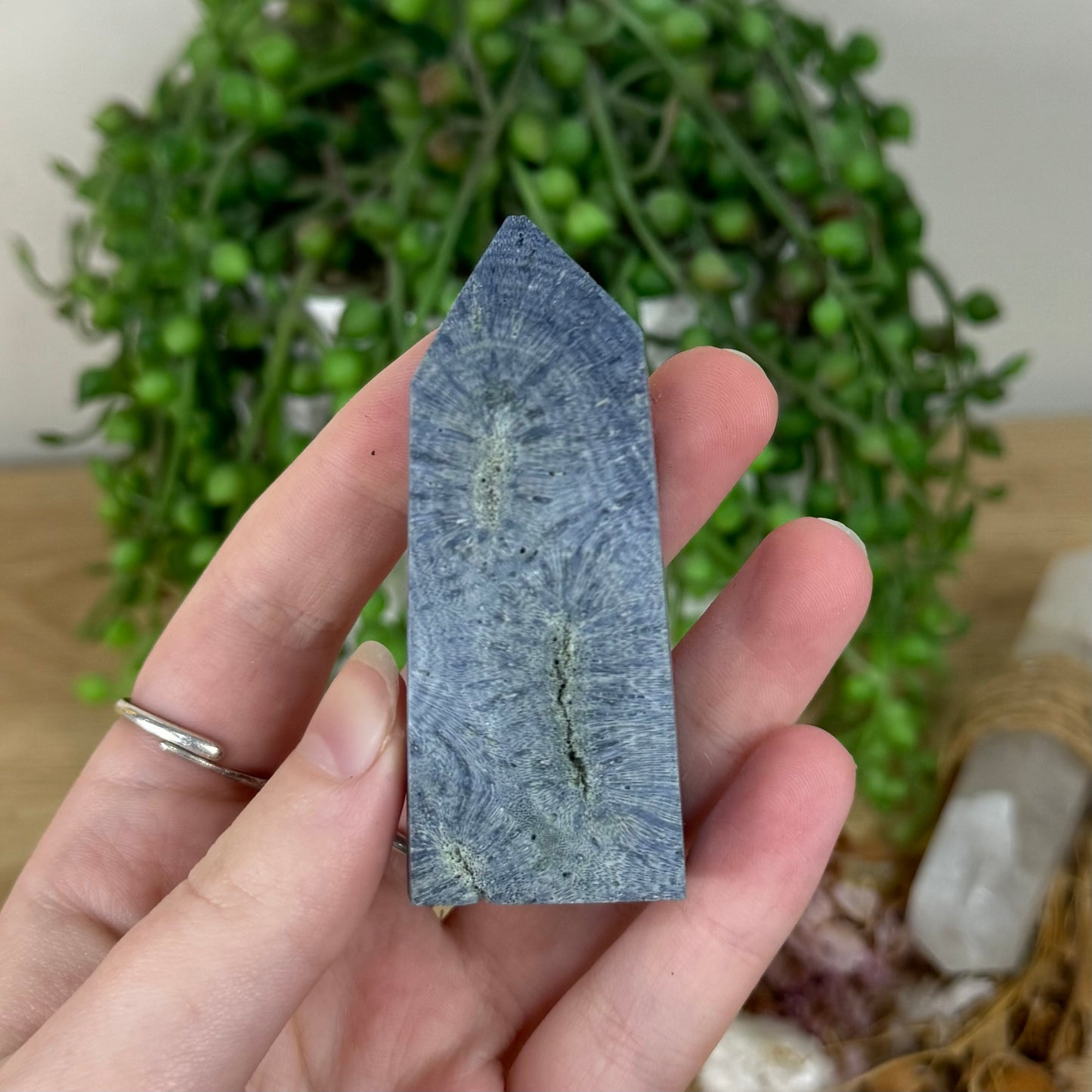 Blue Coral Point (R216)