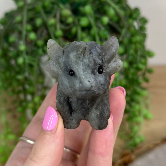 Labradorite Highland Cow (X159)
