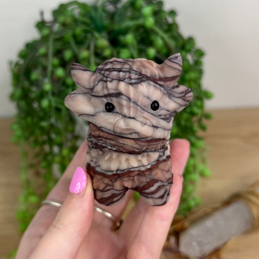 Rainbow Zebra Jasper Highland Cow (X162)