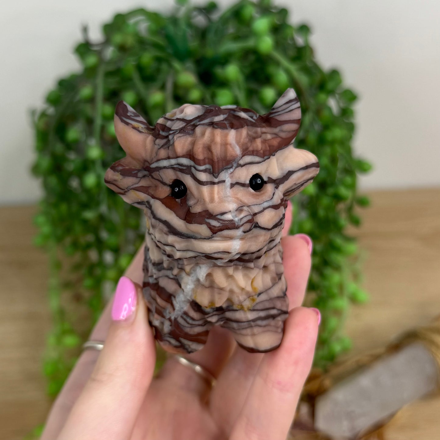 Rainbow Zebra Jasper Highland Cow (X163)