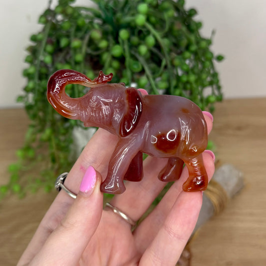 Carnelian Elephant (X284)