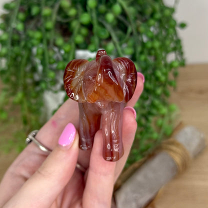 Carnelian Elephant (X284)