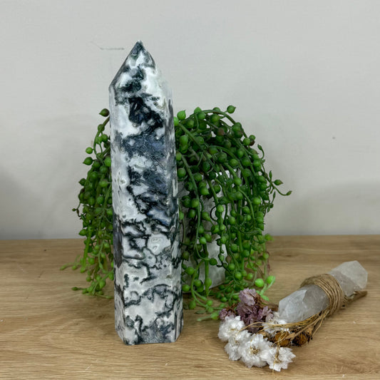 Moss Agate Tower (N54)