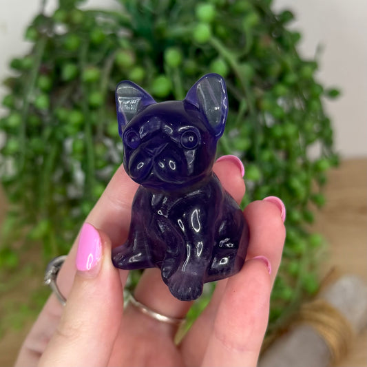 Purple Fluorite French Bulldog (X100)