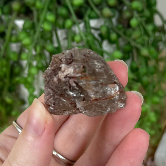 Red Epdiote Chunk (R158)