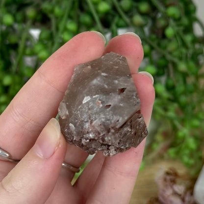 Red Epdiote Chunk (R158)