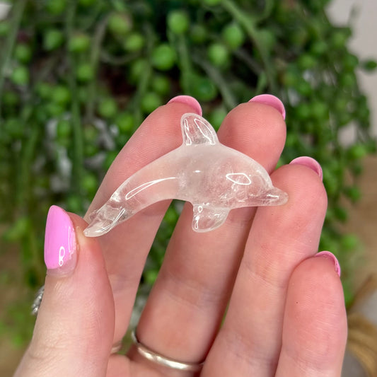 Clear Quartz Mini Dolphin
