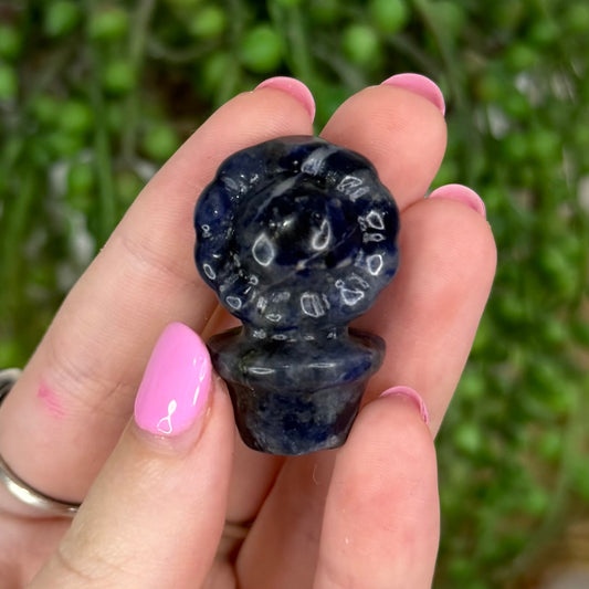 Sodalite Small Flower Pot 1
