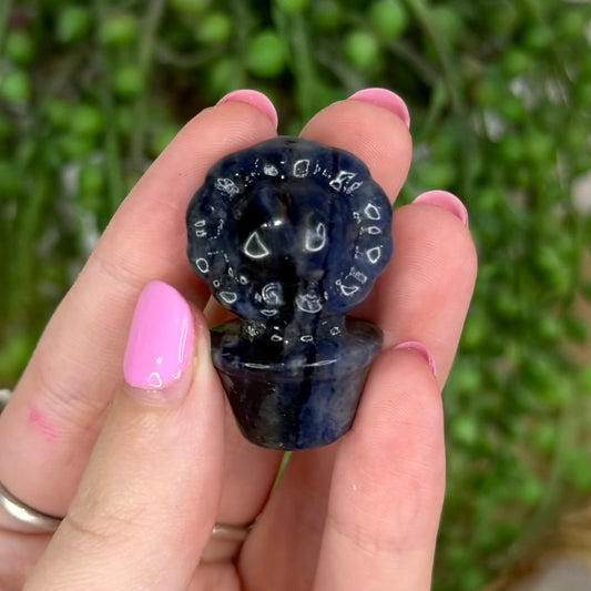 Sodalite Small Flower Pot 2