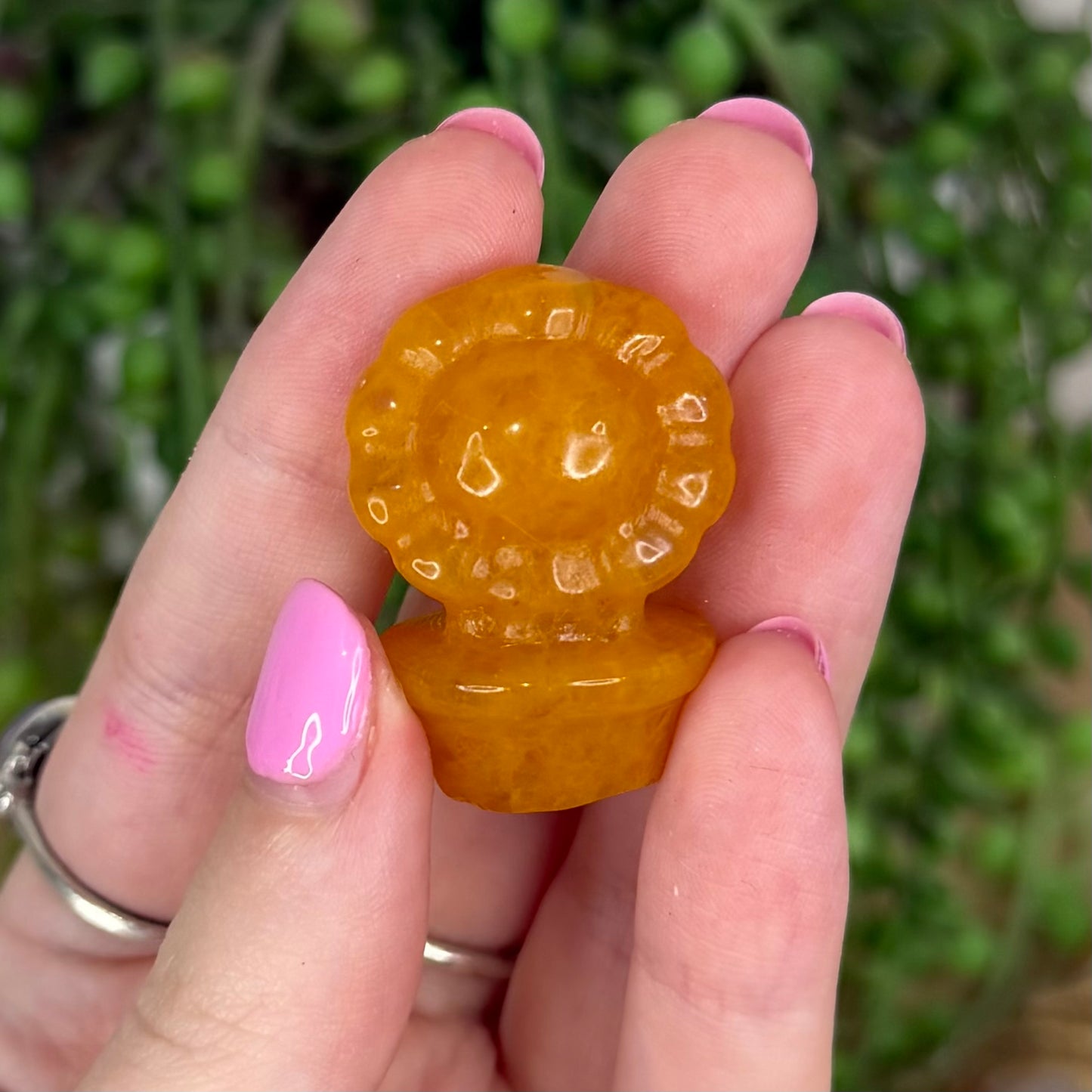 Golden Healer Small Flower Pot