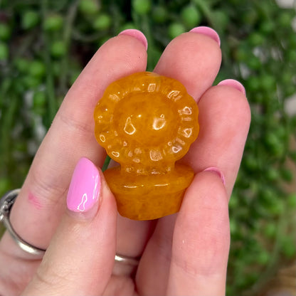 Golden Healer Small Flower Pot