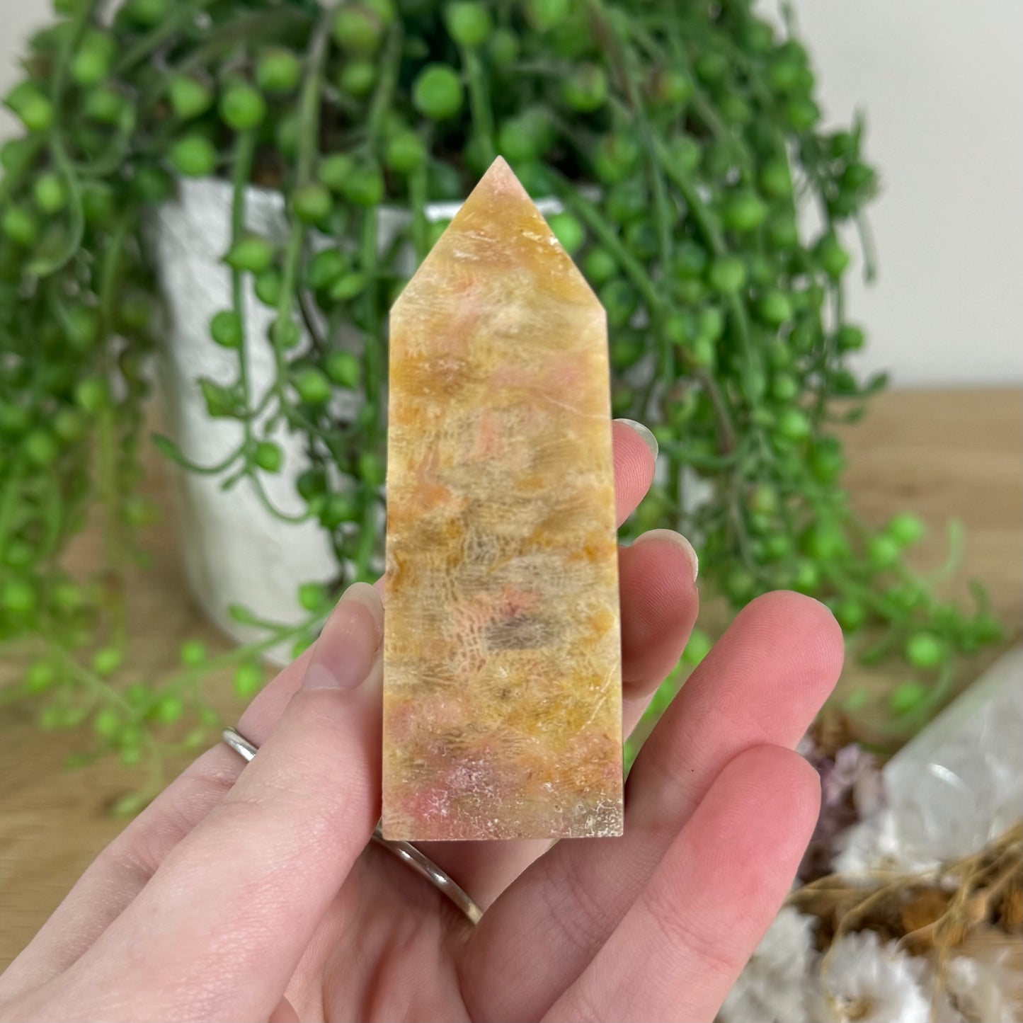 Coral Jade Point (N116)