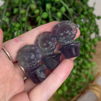 Fluorite Small Flower Pot