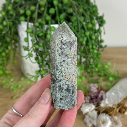 Moss Agate Point (N166)
