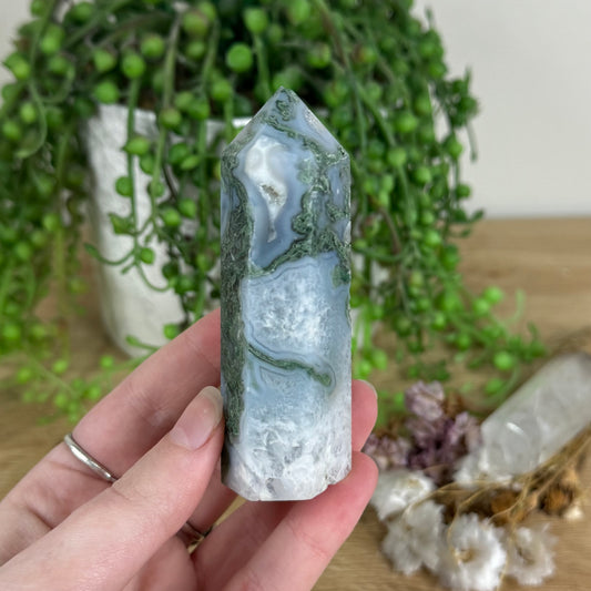 Moss Agate Point (N173)