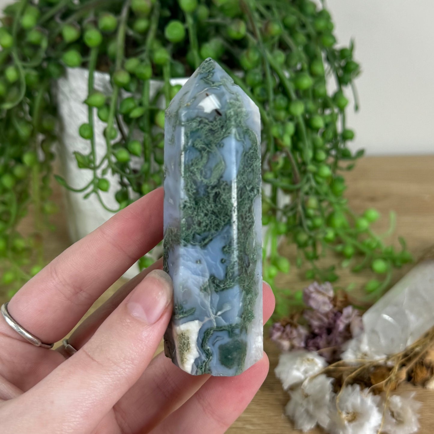 Moss Agate Point (N173)