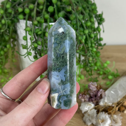 Moss Agate Point (N173)