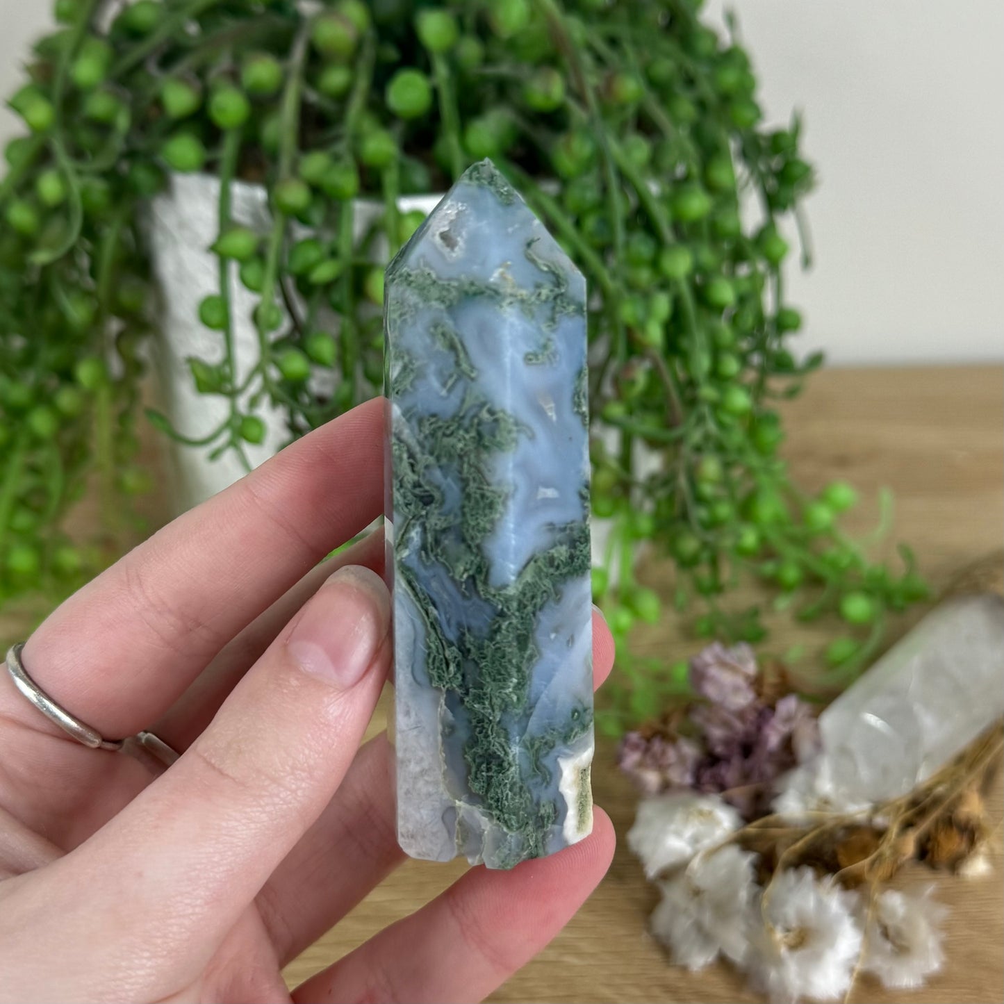 Moss Agate Point (N173)