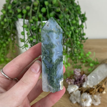 Moss Agate Point (N173)