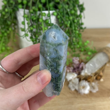 Moss Agate Point (N173)