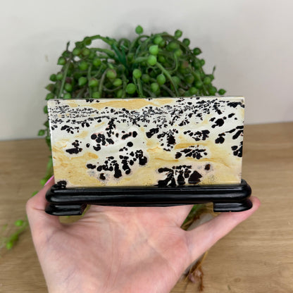 Picture Stone Jasper Slab On Stand (X232)
