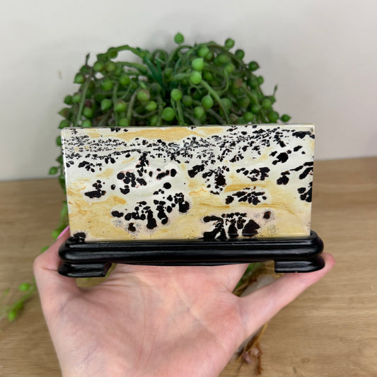 Picture Stone Jasper Slab On Stand (X232)